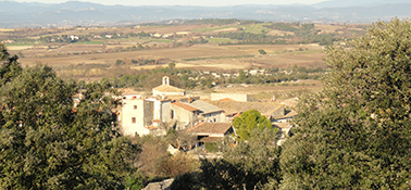 COLLECTES DES EMBALLAGES