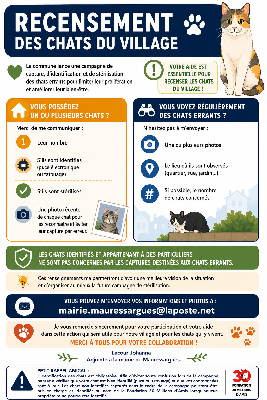 infographie recensement chat du village